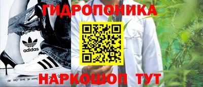 эйфоретик Нарткала